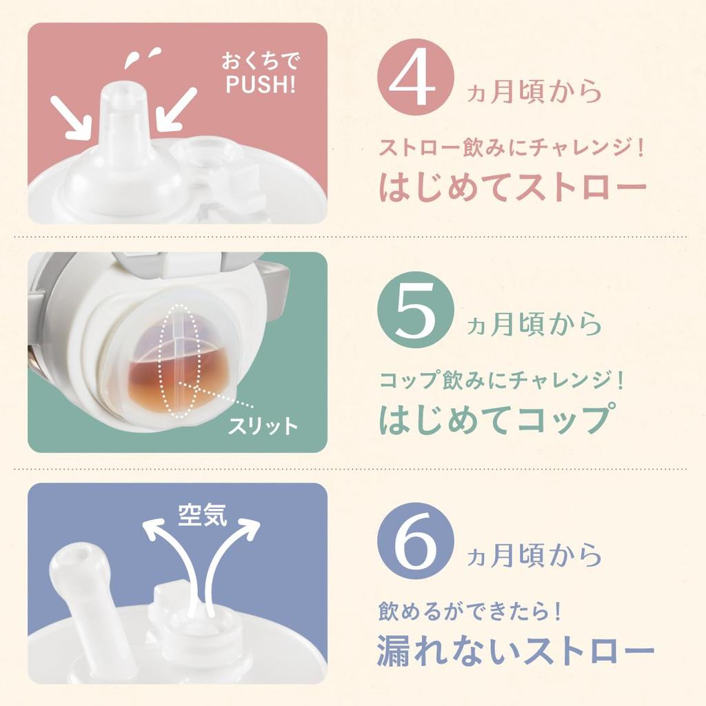 Year Combi Raku Mug Premium Set Bear from Around 4 Months Japanese Made Mug Series [25 Model] 240ml/340ml