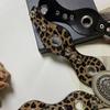 Leopard Women's Rivet Belt Gothic Dress Jeans Belt Fashionable Leather Waistband  Streetwear