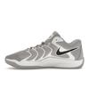 Nike Кроссовки мужские KD 17 TB Wolf Grey белые черные FV1307-002