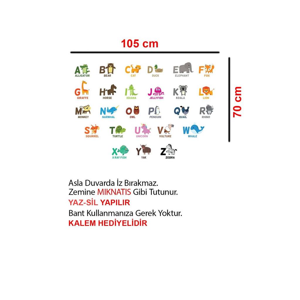 Образовательные Письма Исследование Письмо Обучение Ученик Начальной Школы Образование Доска Английская Бумажная Доска