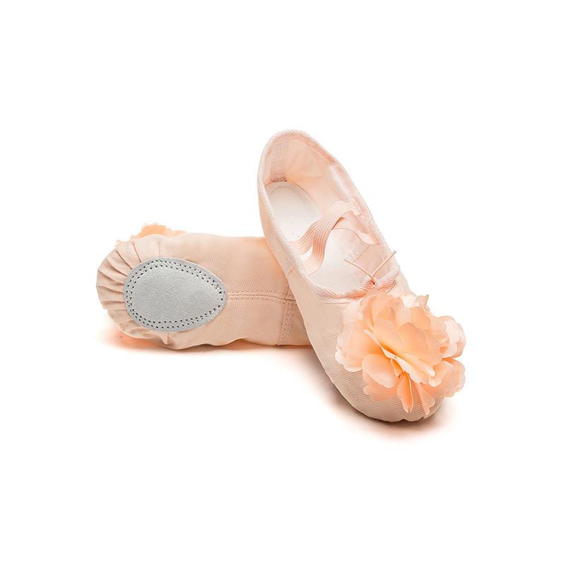 Adult Children's Dance Shoes Men's and Women's Ballet Soft Sole Practice Shoes Form Class Yoga Shoes Flower Cat Claw Dancing Shoes