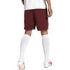 PUMA Manchester City Soccer Bottom Men's Dark Red 770478-05