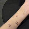 INS Style Temperature Sensitive Stickers Waterproof Temporary Tattoos  Gifts