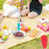Portable Waterproof Picnic Mat Outdoor Use Foldable Sandproof With Machine Washable Durable Fabric Large Size Blanket For Camping Beach Travel Multi