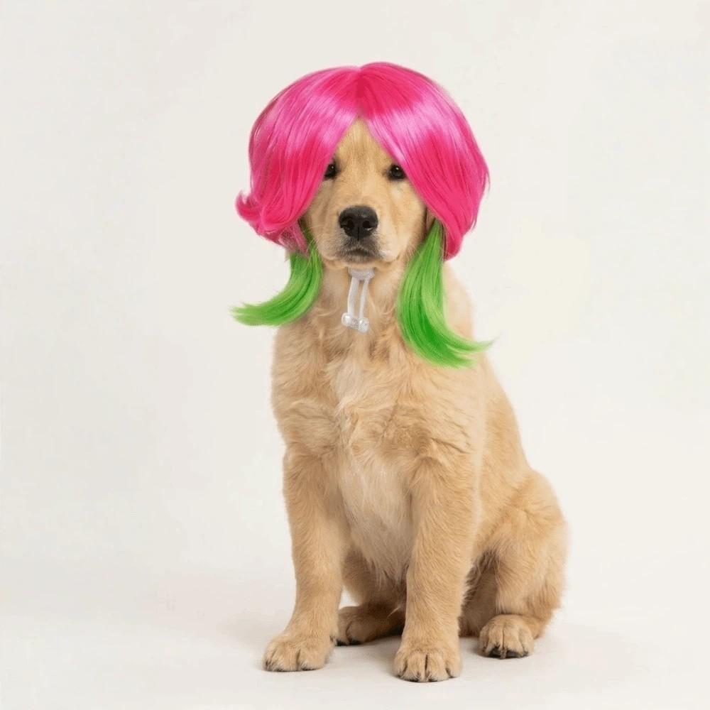 Adjustable Fit Colorful Pet Wig Comfortable To Wear Reusable Dogs Cats Cosplay Wigs Dressing Up with Bangs