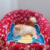 Durable Cartoon Pet Ice Mat Cool Portable Floor Mats Pet Ice Cushion For Small Big Dogs