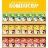 Damtuh *BTS Key Ring (Random) Kombucha Powder 10stick (3 Flavor)