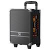 Портативная Bluetooth KTV колонка Newmine N518 8 дюймов на тележке с двумя микрофонами (Китайская версия)