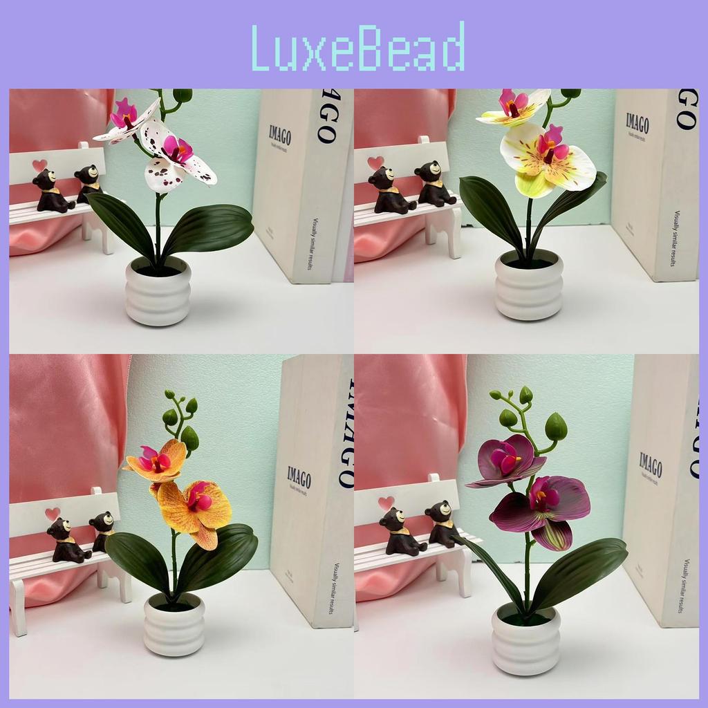 Butterfly Orchid Artificial Plant With 3d Printing For Home Decor And Photography Props