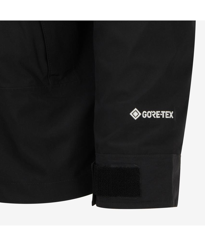 The North Face Nj2Gr02A Men'S Gore-Tex Mountain Jacket Black