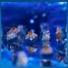 Kailh Deep Sea Pro Islet Бесшумный Линейный Переключатель Whale Тактильный 3-контактный Механическая Клавиатура Бесшумные Переключатели RGB Заводская Смазка Пылезащищенный