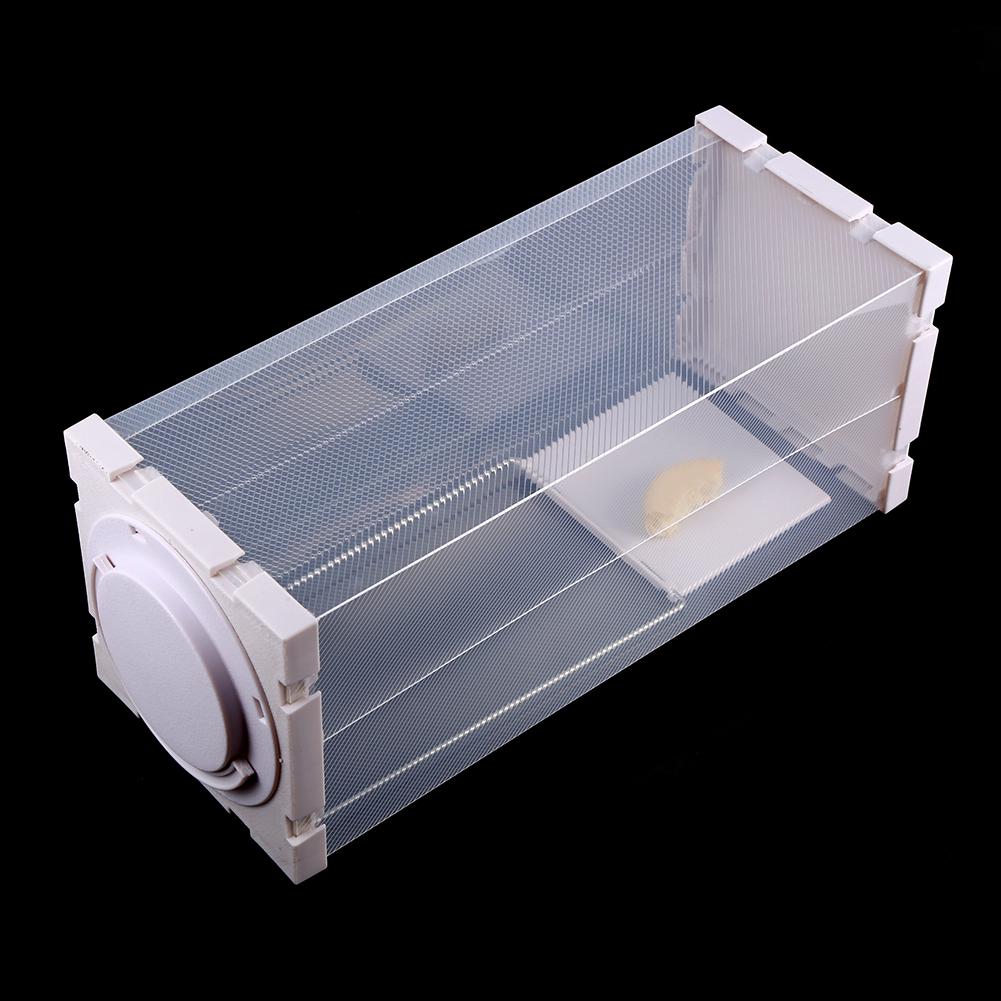 Гуманная крысоловка Клетка Живые животные Вредители Грызуны Мыши Борьба с мышами Приманка Поймать