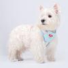 Newest Puppy Dog Walking Harnesses No Pull Pet Harness for Small Medium Dogs Pomeranian Poodle Pug Mascotas Accessories Supplies
