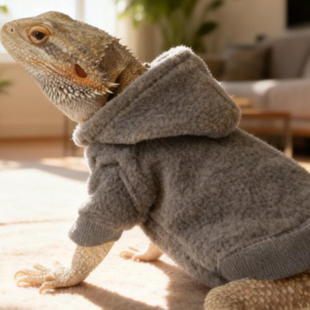 Warm Reptile Hoodies Handmade Bearded Dragon Hoodies Cute Lizards Clothes Photo Outfit