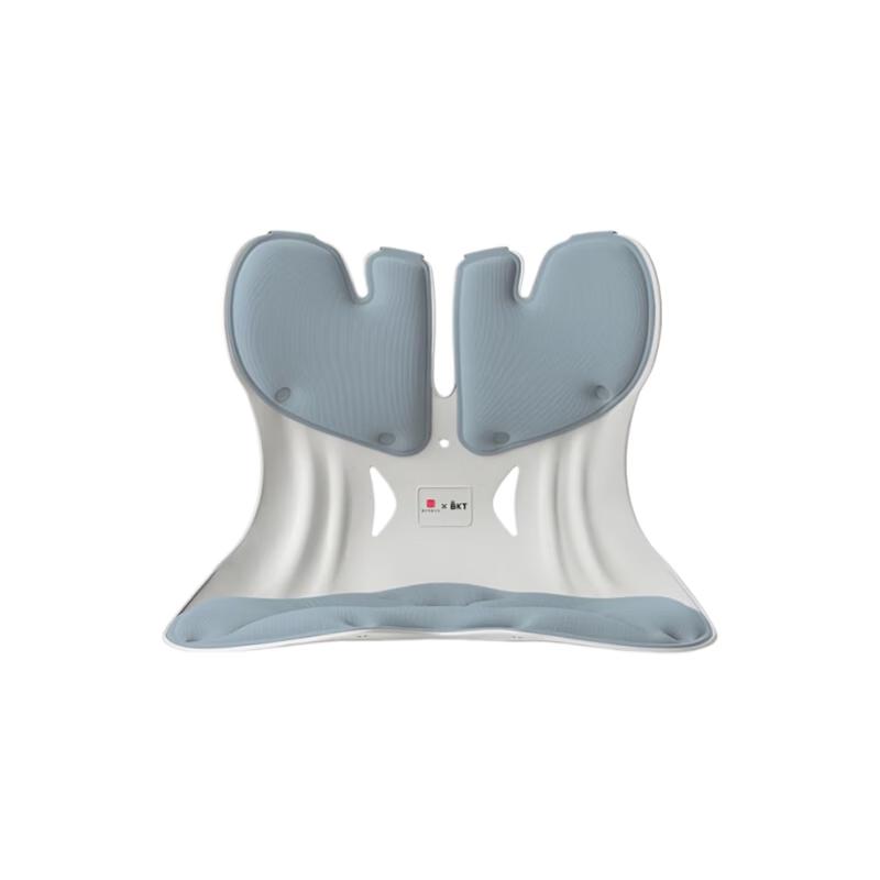 BKT Ergonomic Lumbar Support Sitting Cushion CN plug (adapter included)