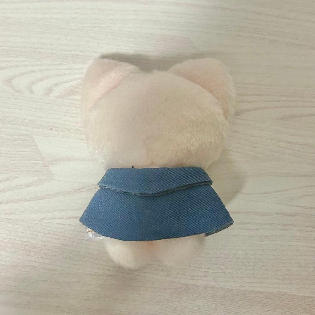 [USED] Foxxyny Plush Toy 10cm SKZOO AIEN Stray Kids