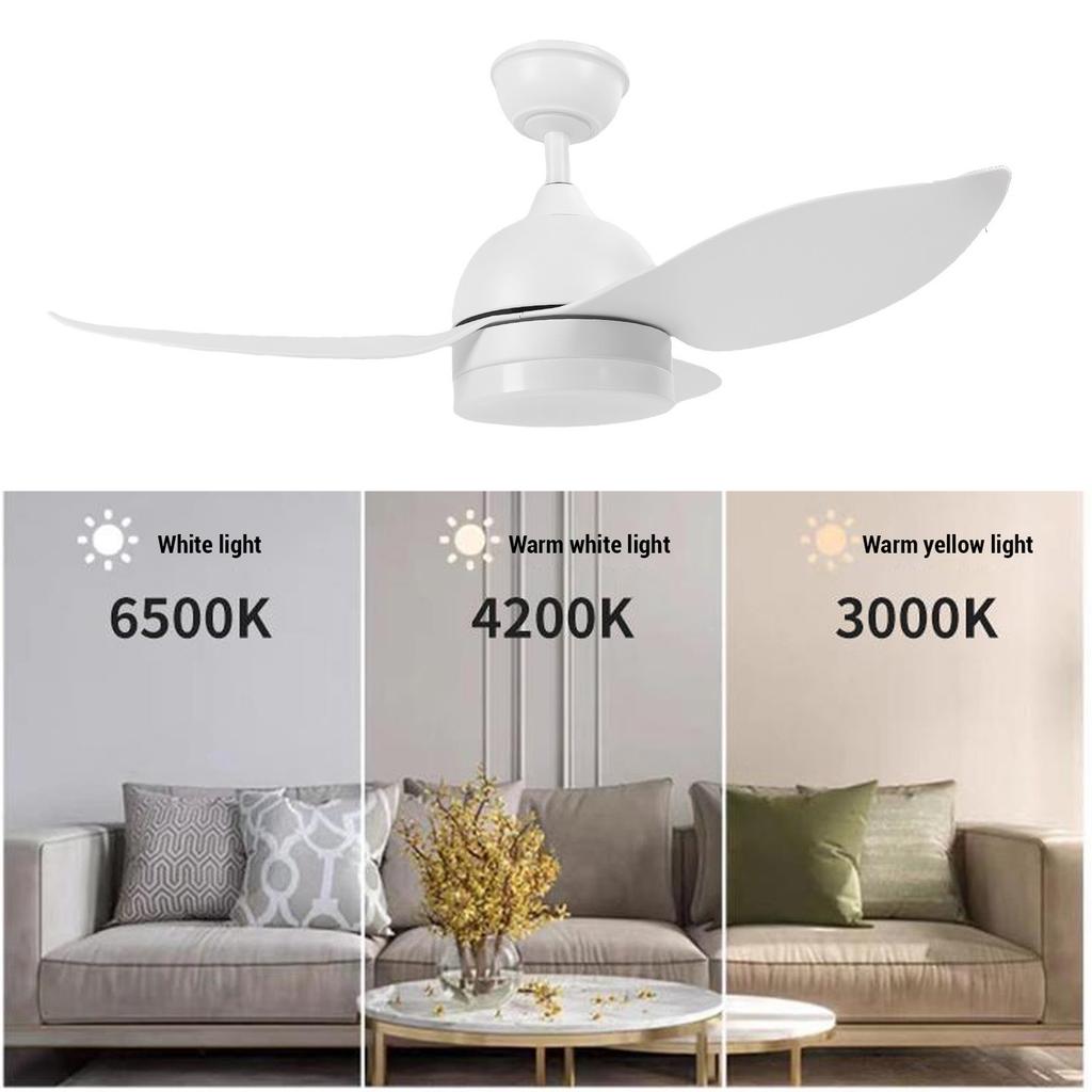 Dimmable LED Ceiling Fan Easy To Install 6 Speeds 32W Reversible Quiet 38 Inch Energy Efficient Ceiling Fan for Living Room