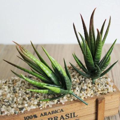1 штука 7X10см Искусственные суккуленты Растение Сад Дом DIY Цветок Искусственные растения Композиция Аксессуары Спальня Офис Украшение