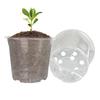 5Pcs 6/7.6/10/13/15cm Clear Round Pot Cultivation Flower Pots Orchid Nursery Planting Breathable Planter Raising Seedling Cup