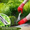 Two-Pronged Fork Hand Weeder Tool with Ergonomic Handle Garden Weeding Fork Root Extractor Gardens