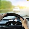 Seimeinoki Милый Кот Набор для Салона Автомобиля Набор для Салона Автомобиля Панель Приборов Разные Коты Высокая Температура Зеркало Заднего Вида Салонное Животное Мини-Талисман