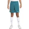 Шорты для футбола Nike Dri-FIT Portugal Strike мужские FJ2204-381