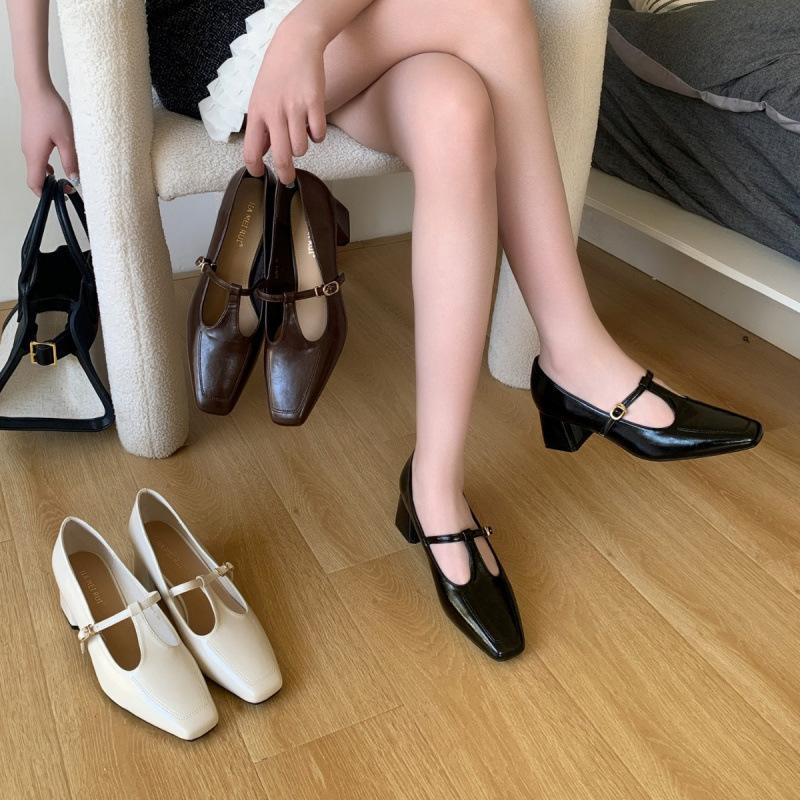 French Gentle Single Shoes Female 2025 Spring New Mary Jane Thick Heel Evening Shoes with Skirt Fairy Style Grandma Shoes Tide