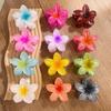 Заколка для волос с градиентным узором Plumeria 1 шт.