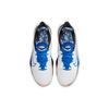 Nike Мужские кроссовки Air Zoom BB NXT EP 'Hyper Royal' DB9991-100