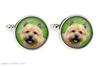 Norwich Terrier - cufflinks and tie with your photo, a suit decoration, men's jewelry from the Art-Dog brand.