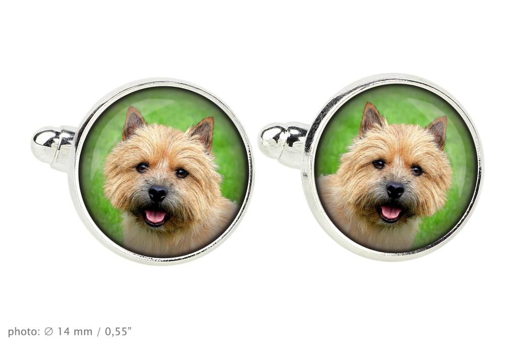 Norwich Terrier - cufflinks and tie with your photo, a suit decoration, men's jewelry from the Art-Dog brand.