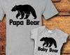 Fathers Day Gift, Father Son Matching Shirt, Dad and Baby Matching Shirts, Matching Outfits, Papa Bear, Baby Bear, T-Shirt, Shirt, Tee
