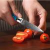 Fruit Knife 67 Layers Damascus Steel Kitchen Utility Knives Slicing Paring Knife