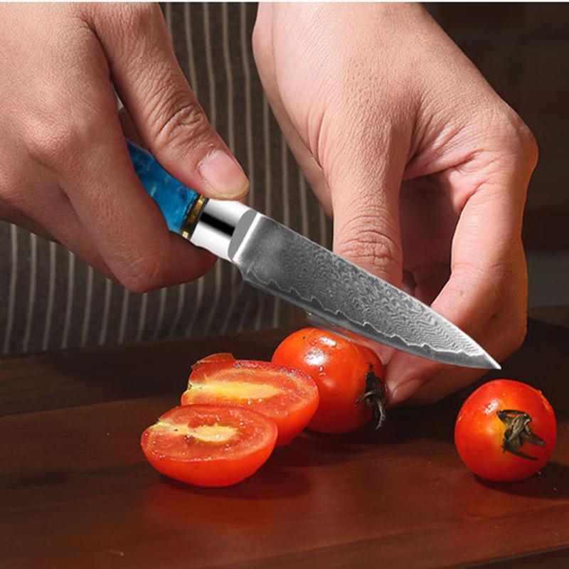 Fruit Knife 67 Layers Damascus Steel Kitchen Utility Knives Slicing Paring Knife