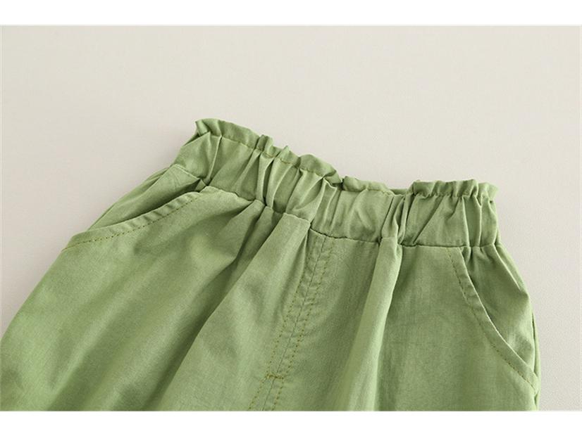 2025 Новый корейский стиль с рукавами-фонариками и цветочным принтом, однотонные летние шорты, комплект из двух частей для маленьких девочек