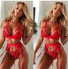 New Lace Sexy Lingerie Transparent Hot Lace Erotic Underwear Bra Set and Garter Hot Erotic Sleepwear Likable  Appeal