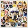 50PCS Husky Puppy Stickers Corgi Shiba Inu Stickers Toy Meme Dog Stickers  Hand Ledger