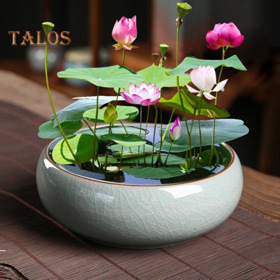 Чаша для лотоса, керамическая ретро-чаша для лотоса, держатель для гидропонных растений, однотонный глазурованный цветочный горшок для водных растений, чаша для нарцисса, лотос