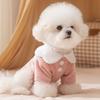 Autumn and Winter Pet Clothes Bottoming Shirt Dog Clothes Teddy Bear Small Dog Velvet Two Feet Cute Bear Top