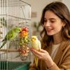 Кормушка для птиц, Поднос для лакомств, Миски для птиц в клетку для попугая-волнистика, кореллы, попугая, конура, канарейки, квикера, зяблика, домашнего питомца