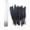 20pcs/Lot Dyed Black Feathers Rooster Goose Feathers for Jewelry Making Ostrich Pheasant Feathers for Crafts Carnaval Assesoires