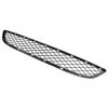 BMW X6 E71 Front Lower Bumper Grille 51117176282