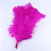 Страусиные перья 60-65 см Южноафриканские импортные перья Аксессуары для ювелирных изделий Модные популярные декоративные украшения Пух хлопок