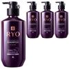 Шампунь Jayangyunmo Professional Care Symptoms for Oily Scalp, 400 мл, 4 шт.