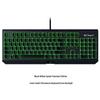 Механическая игровая клавиатура Razer BlackWidow Standard Edition
