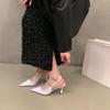 Temperament Celebrity Bag Head Sandals Fairy Shoes 2025 New Spring and Summer Pointed Single Shoes Black High Heels