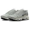 Nike Air Max Plus Light Silver Женские кроссовки Grey Chrome Light-Bone FV8480-002