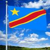 Vivid Lion of Judah Flag - Artist Flame Design, Polyester, Wind Resistant And High Wind Safety, Suitable for Outdoor Use, Symbolizes Strength And Cour