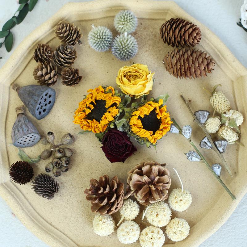 Dried Real Flowers & Materials: Pine Cones, Acorns, Cotton, Adhesives, Sunflowers - DIY Scented Floral Decor & Photography Props