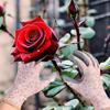 Floral Pattern Work Gloves Breathable Protective Mittens Labor Protection Gloves  Rose Planting